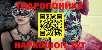 сатива Гай