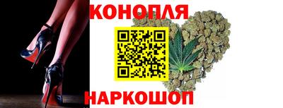 сатива Гай