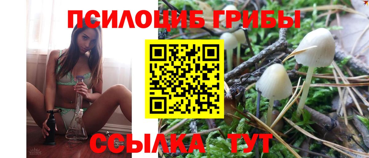Галлюциногенные грибы Psilocybe  Вход с VPN  Кушва  Псилоцибиновые грибы Psilocybine cubensis 