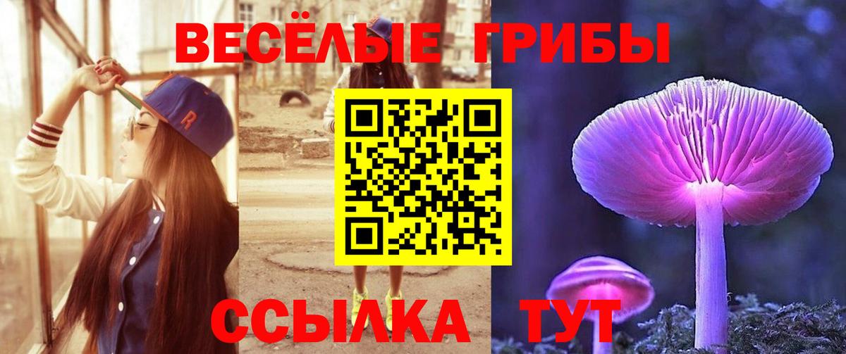 Псилоцибиновые грибы MAGIC MUSHROOMS Кушва